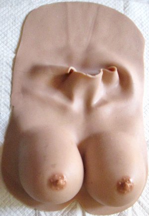 Silicone breast forms - Half-vests, teardrop, halterneck , nude, Size D. South Africa, Pretoria, Villieria