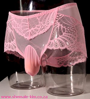 See through underwear. South Africa, Pretoria, Villieria