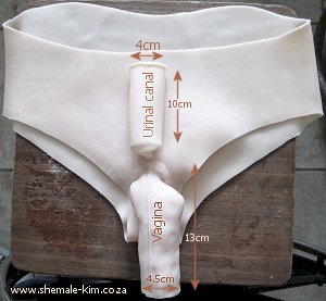 The urinal canal allow you to I pee sitting just like a woman. Can have intercourse with simulated vagina. South Africa, Pretoria, Villieria
